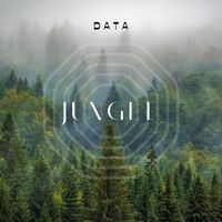 datA - Jungle (Explicit)