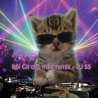 DJ SS - Bài Ca Chó Mèo (DJ SS Remix)
