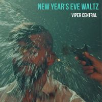 Viper Central - New Year's Eve Waltz