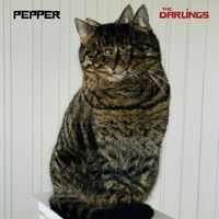 The Darlings - Pepper