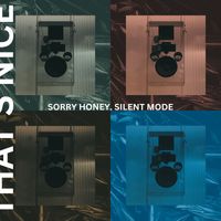 That's Nice - Sorry Honey. Silent Mode
