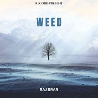 Raj Brar - Weed