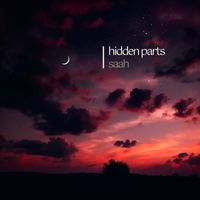 Saah - hidden parts