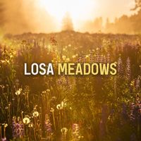 Losa - Meadows
