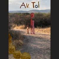 Silla - Av. Tol