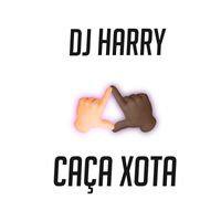DJ Harry - CAÇA XOTA (Explicit)