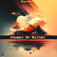 Napsoul - Sounds of Nature