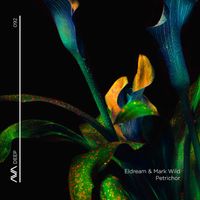Eldream & Mark Wild - Petrichor