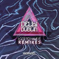 Delhi 2 Dublin - I Got to Have It (Remixes)