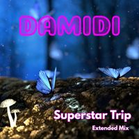 Damidi - Superstar Trip (Extended Mix)