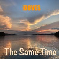 The Doves - The Same Time