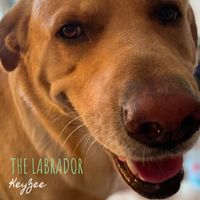 Keyzee - The Labrador