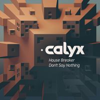 Calyx - House Breaker / Don't Say Nothing