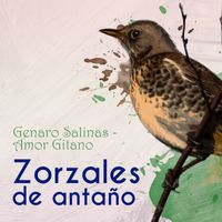 Genaro Salinas - Zorzales de Antaño… Amor Gitano