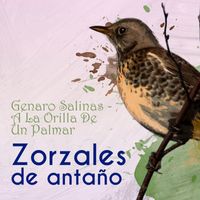 Genaro Salinas - Zorzales de Antaño… A La Orilla De Un Palmar