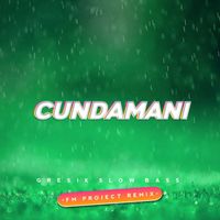 FM PROJECT - Cundamani (Remix)