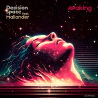 Decision Space - Awaking