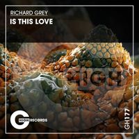 Richard Grey - Is This Love