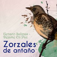 Genaro Salinas - Zorzales de Antaño… Dejame En Paz