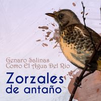 Genaro Salinas - Zorzales de Antaño… Como El Agua Del Rio
