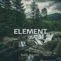 Pablo Briceño - Element