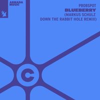 Probspot - Blueberry (Markus Schulz Down The Rabbit Hole Remix)