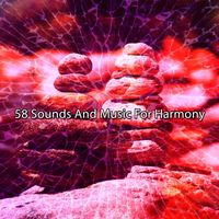 Exam Study Classical Music Orchestra - 58 Sounds And Music For Harmony