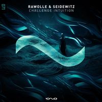 Rawolle and Seidewitz - Challenge Intuition