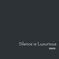 Diego - Silence Is Luxurious