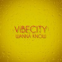 VIBECITY - WANNA KNOW