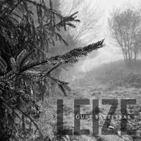 Leize - Gure Bazterrak