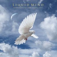 Liquid Mind - Surrender to Love Radio Edit