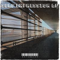 Database - Self Expression Lp