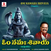 S. P. Balasubrahmanyam - Om Namaha Shivaya Chants - Single