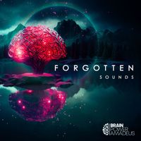 Brain Power Amadeus - Forgotten Sounds