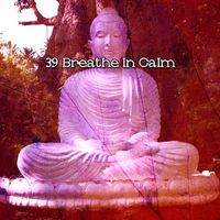 Classical Study Music - 39 Breathe In Calm