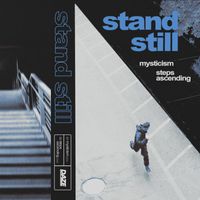 Stand Still - LP Promo