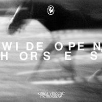 James Vincent McMorrow - Wide open, horses (Explicit)