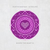 Dustin Nantais - A Feeling
