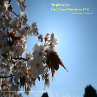 Stephen Lee - East Coast Nocturn #1
