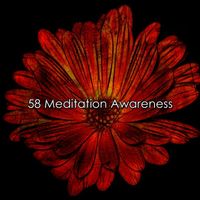 Yoga Tribe - 58 Meditation Awareness