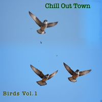 Chill Out Town - Birds Vol.1