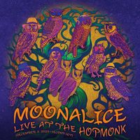 Moonalice - Live at The Hopmonk (December 2, 2023) (Second Set)