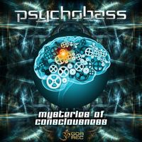 Psychobass - Mysteries of Consciousness