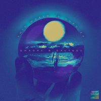 Shadre and Salvage - This World Is Ours