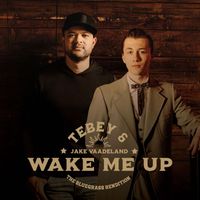 Tebey & Jake Vaadeland - Wake Me Up (The Bluegrass Rendition)
