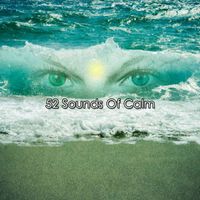 Asian Zen Spa Music Meditation - 52 Sounds Of Calm