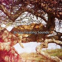 Rockabye Lullaby - 36 Spa Treating Sounds