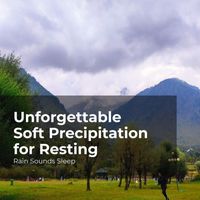 Rain Sounds Sleep, Rain Spa, Rain Sounds for Relaxation - Unforgettable Soft Precipitation for Resting