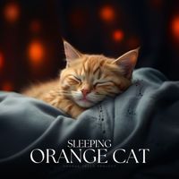 Cat Music - Sleeping Orange Cat